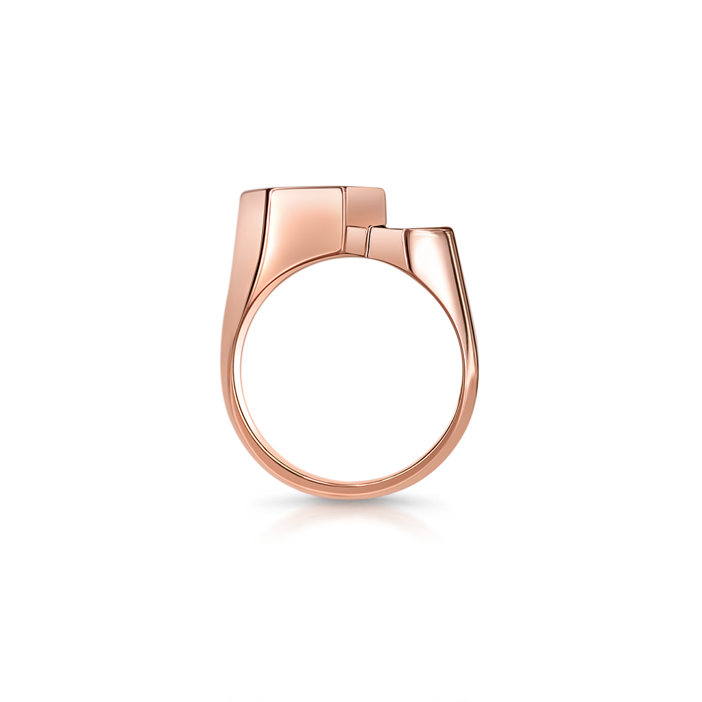 Signet Double Step Ring -  Pinner